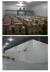 Cold Storage