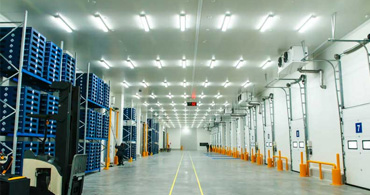 Cold Storage
